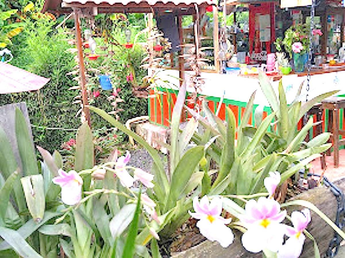 Hostal Estrella De Agua ซาเลนโต ภายนอก รูปภาพ