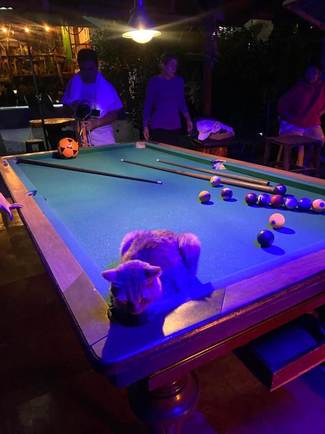 Hostal Estrella De Agua ซาเลนโต ภายนอก รูปภาพ