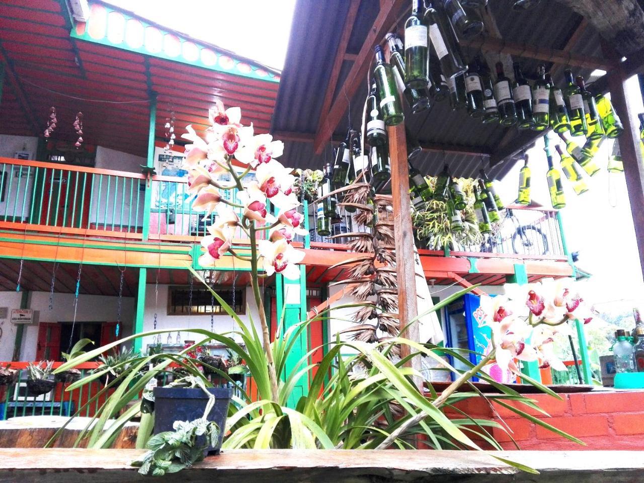 Hostal Estrella De Agua ซาเลนโต ภายนอก รูปภาพ